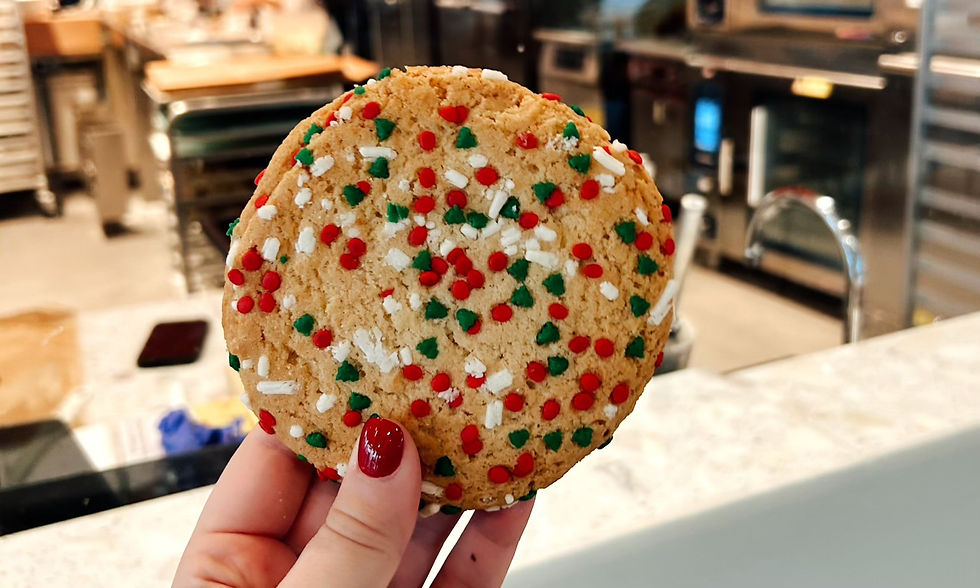 Hand holding a sugar cookie with green, red, and white sprinkles.
