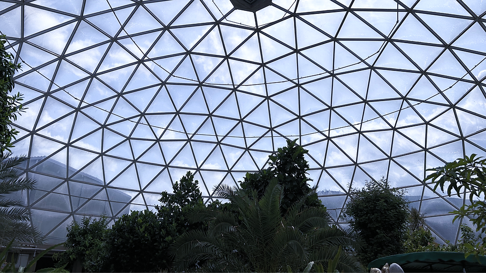 The Land Pavilion greenhouse ceiling