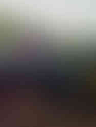 Rey and Chewbacca at Star Wars Galaxy's Edge