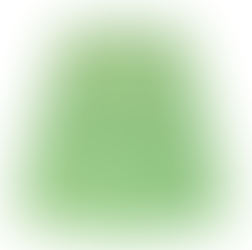 Crowned Athletics Lily Pad Princess Athletic Skort
