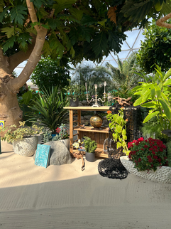 Living with the Land Little Mermaid Theme