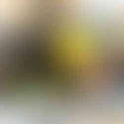 small basket holding chips and granola bars