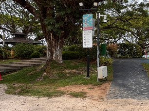 Pasir Ris Park Mega Adventure Playground