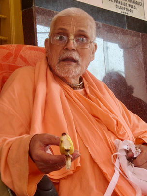 SHOULD WE MEDITATE WHILE CHANTING?