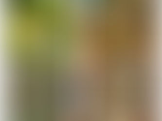 Pizza With Escarole, White Beans, Capers, Olives