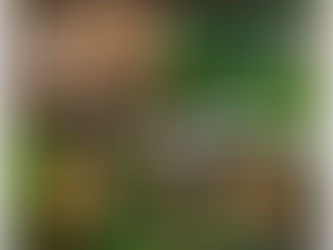 Swiss Chard, Shitake Mushrooms and Seared Tofu in Garlic Sauce With Fresh Herbs