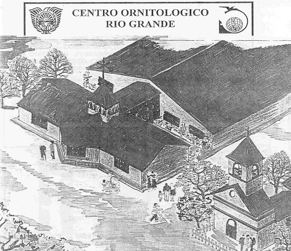 Imagen2.jpg