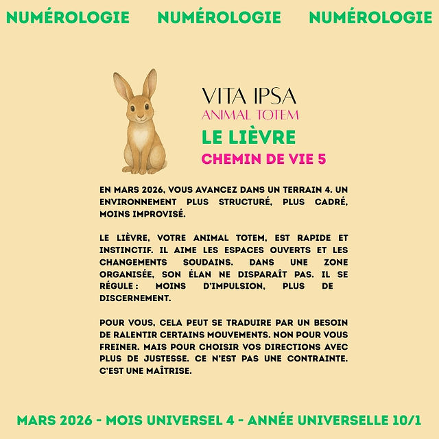 Le lièvre en mars 2026 - animal totem de la numérologie Vita Ipsa