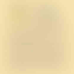 Animal Totem mésange en mai 2026 | Chemin de vie numérologie Vita Ipsa