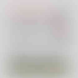 Numérologie, les Animaux Totem en mars 2025