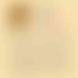 Animal Totem ours en mai 2026 | Chemin de vie numérologie Vita Ipsa