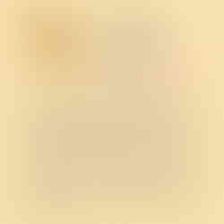 Animal Totem biche en mai 2026 | Chemin de vie numérologie Vita Ipsa