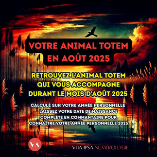 Numérologie août 2025 par le numérologue de Vita Ipsa numérologie
