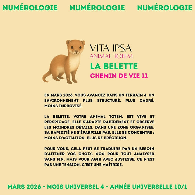 La belette en mars 2026 - animal totem de la numérologie Vita Ipsa