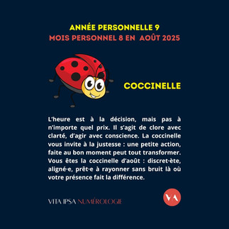 Numérologie août 2025 par le numérologue de Vita Ipsa numérologie, la coccinelle