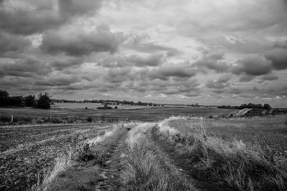 Oldtidsvejen gennem Slettelandet ved Hvedstrup