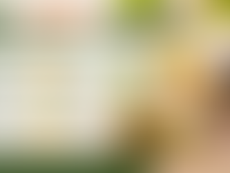 Boost Your Bird's Health with Amino Acids