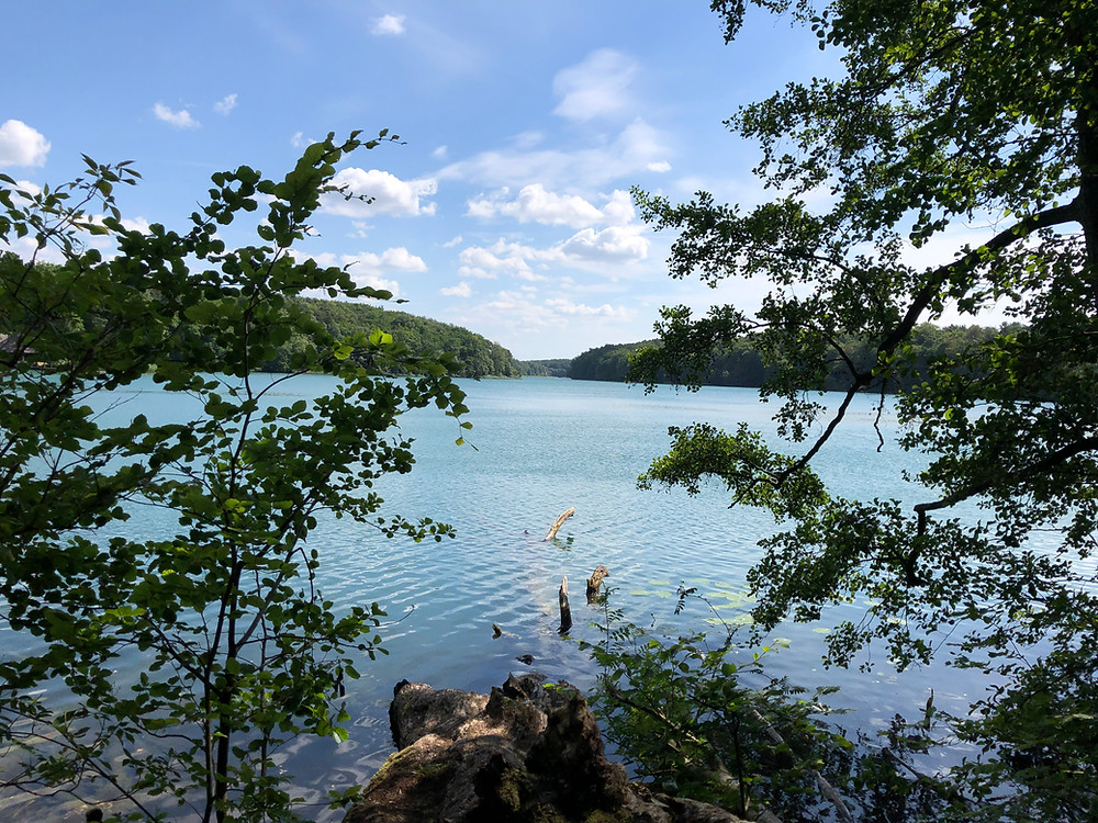 12 km Wandern am Liebnitzsee (Wandlitz)