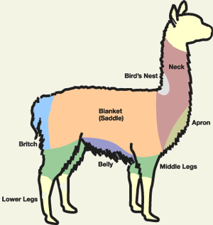 alpaca skirt.gif