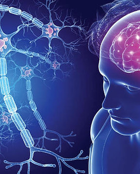 neurone-sclerosi-multipla-2-piccola.jpg