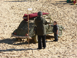 2007 Reed Bug