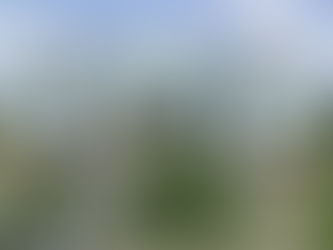 Is Owning a Beach Home in Emerald Isle, NC Right for You?