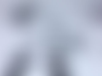 Houses for Sale in Emerald Isle, NC #8