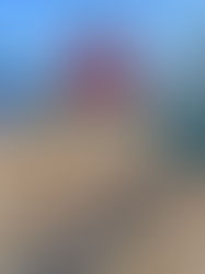 Will Shrimping be Banned in Emerald Isle, NC? 