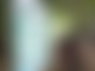 Outdoor Activities: Houses for Sale in Emerald Isle, NC