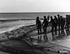 All Bogue Banks is Divided into Three Parts...Part TWO