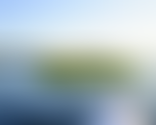 Do I pass the Agent's Audition? 