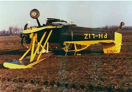 14th of February 1981