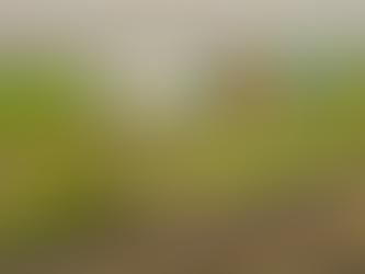 19th of September 2005, Blog #542