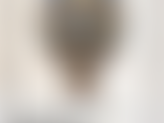 Aviation History Month Day 21 - 21 November 1783