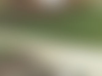 7th of December 1997