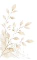 リーフ2_edited.png