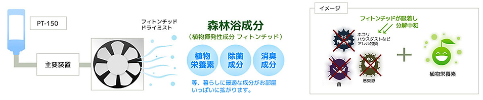 phyton_principle_20210826.png