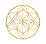 メタトロンMT.webp