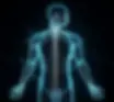 人体.webp