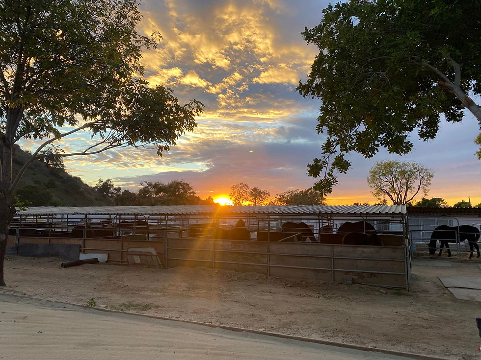 The stalls at Pepperwood. 