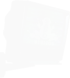 SAPO Studios TV button.
