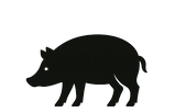 Trufflehog official logo
