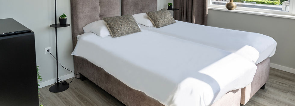 Stijlvolle hotelkamer met twee eenpersoonsbedden, bekleed met zachte beige hoofdborden en voorzien van decoratieve kussens.