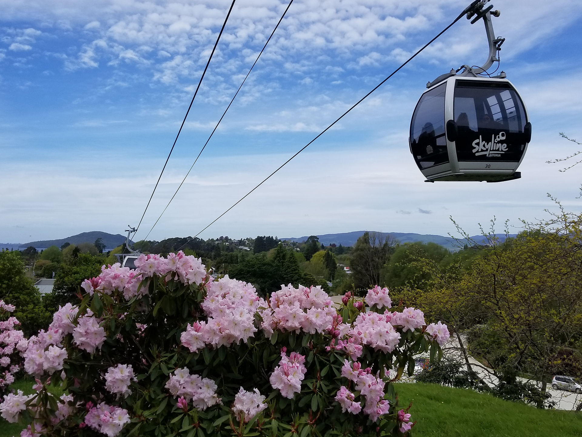 SkyLine Rotorua