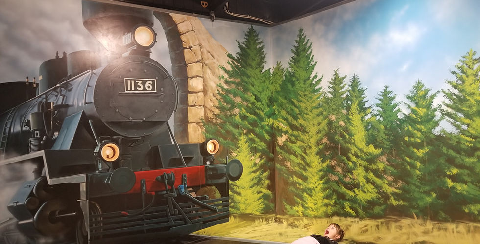 3D Trick Art Gallery, Rotorua, New Zealand attractions, New Zealand activities