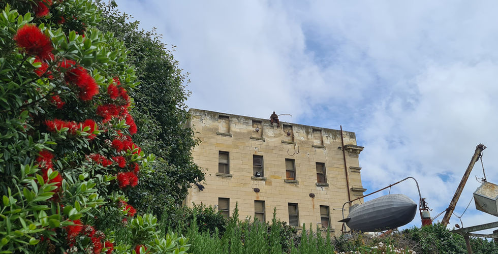 Oamaru. New Zealand tours. Guide in New Zealand. What to visit in New Zealand.