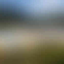 Orakei Korako geothermal park, New Zealand