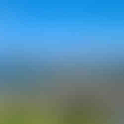 Auckland view from North Head