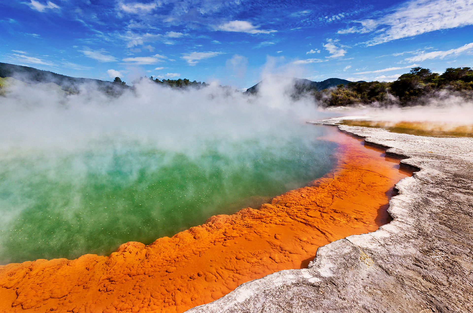 Rotorua. What to visit in New Zealand. Tours to New Zealand.