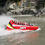 Миниатюра: Shotover Jet Ride Queenstown New Zealand